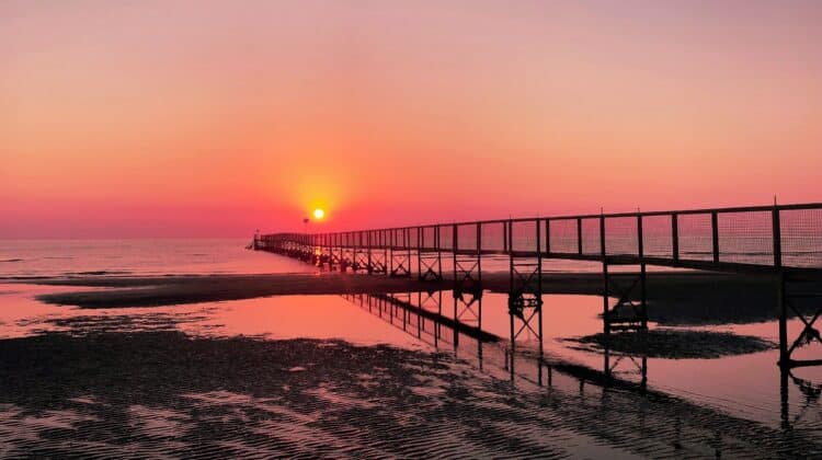 fabio-tura-N4iS85g9Kaw-unsplash (4)